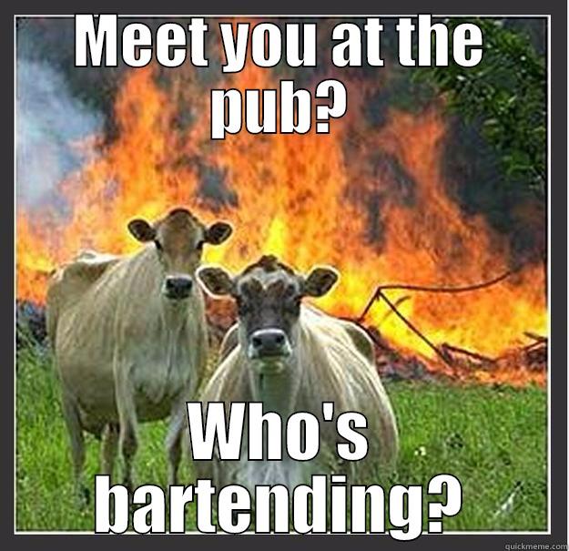 Pub Car Fire - MEET YOU AT THE PUB? WHO'S BARTENDING? Evil cows