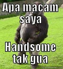 APA MACAM SAYA HANDSOME TAK GUA Misc