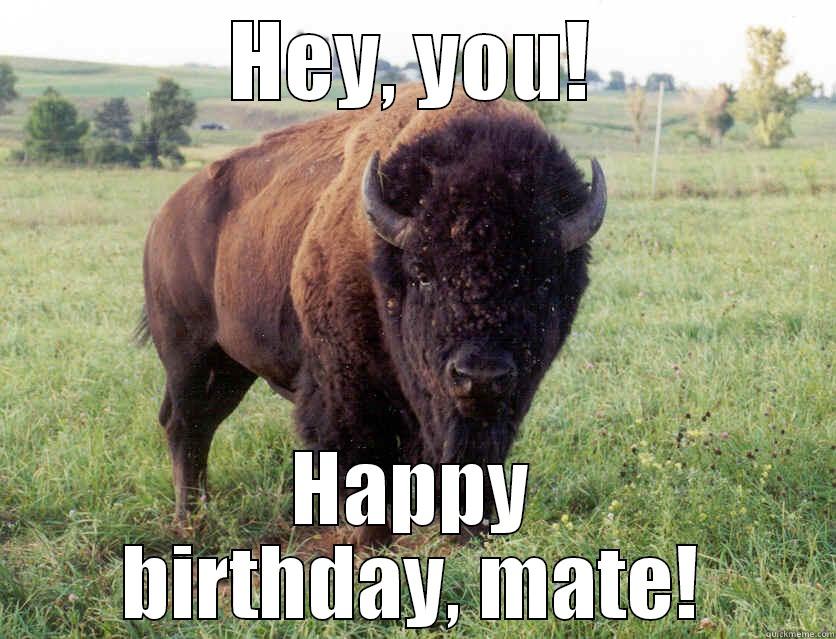 the bison says the truth - HEY, YOU! HAPPY BIRTHDAY, MATE! Misc