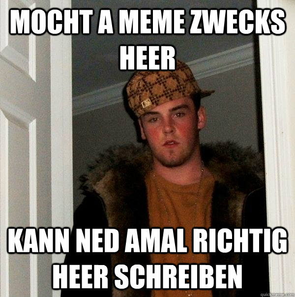 mocht a meme zwecks heer kann ned amal richtig heer schreiben  Scumbag Steve