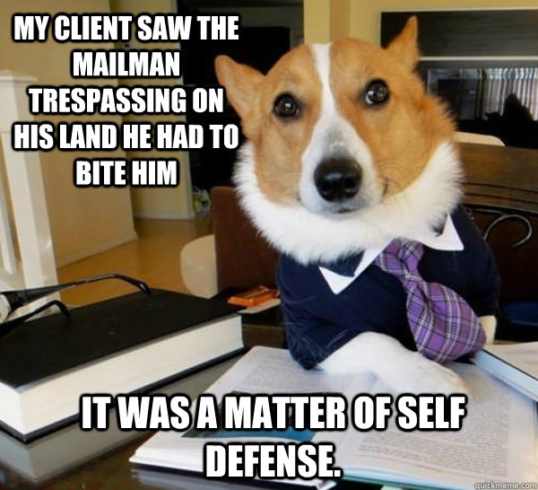 My client saw the mailman trespassing on his land he had to bite him it was a matter of self defense.  Lawyer Dog