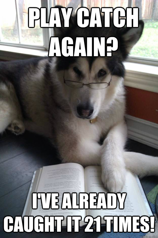 PLAY CATCH again? i've already caught it 21 times!  Condescending Literary Pun Dog