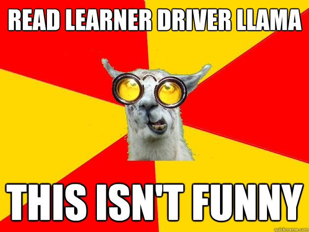 read learner driver llama  this isn't funny  