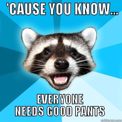   'CAUSE YOU KNOW...  EVERYONE NEEDS GOOD PANTS Lame Pun Coon