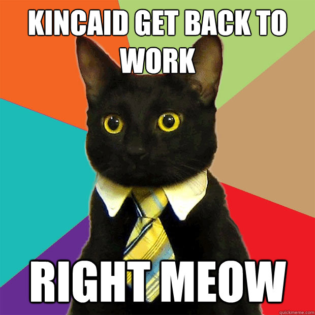 Kincaid get back to work RIGHT MEOW  Business Cat