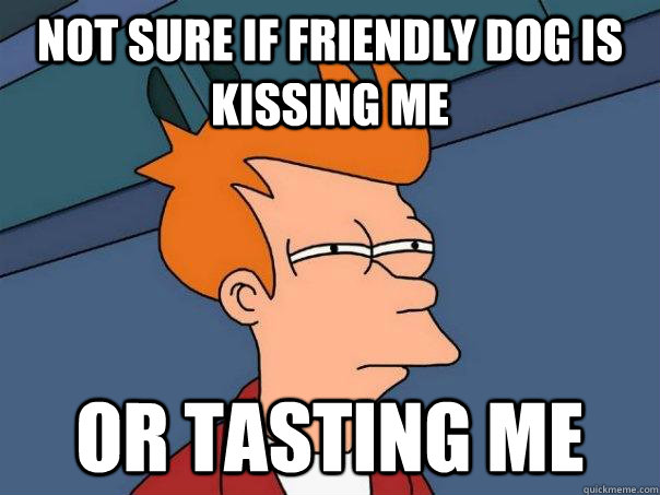 Not sure if friendly dog is kissing me Or tasting me  Futurama Fry