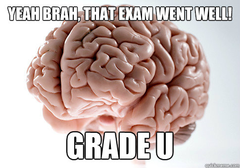 Yeah brah, that exam went well! Grade u  Scumbag Brain