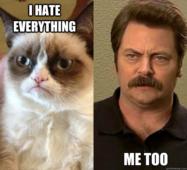 I hate everything Me too - I hate everything Me too  Grumpy catRon Swanson