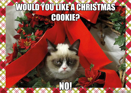 would you like a christmas cookie? no!   A Grumpy Cat Christmas