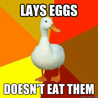 Lays eggs Doesn't eat them  Tech Impaired Duck