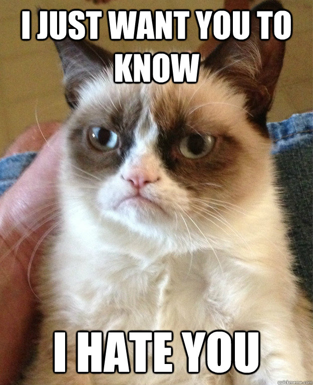 i just want you to know i hate you  Grumpy Cat