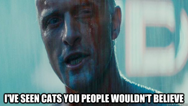  I've seen cats you people wouldn't believe  Roy Batty