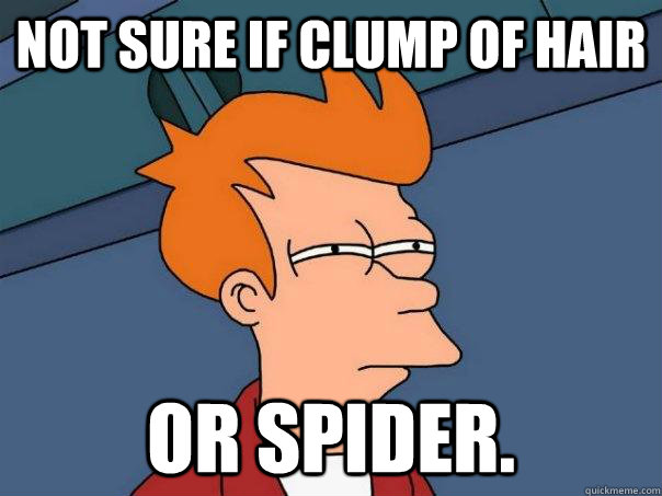 Not sure if clump of hair or spider.  Futurama Fry