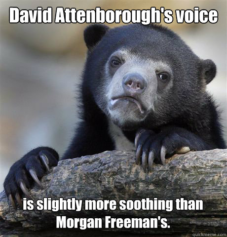 David Attenborough's voice is slightly more soothing than Morgan Freeman's.  Confession Bear