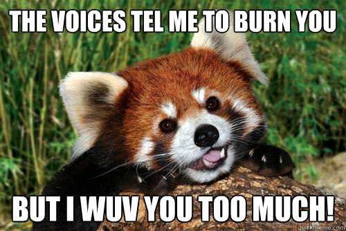 The Voices tel me to burn you But I WUV YOU TOO MUCH! - The Voices tel me to burn you But I WUV YOU TOO MUCH!  Schizophrenic Panda