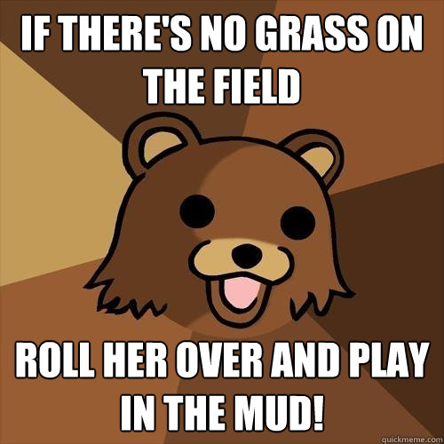 if there's no grass on the field roll her over and play in the mud!  Pedobear