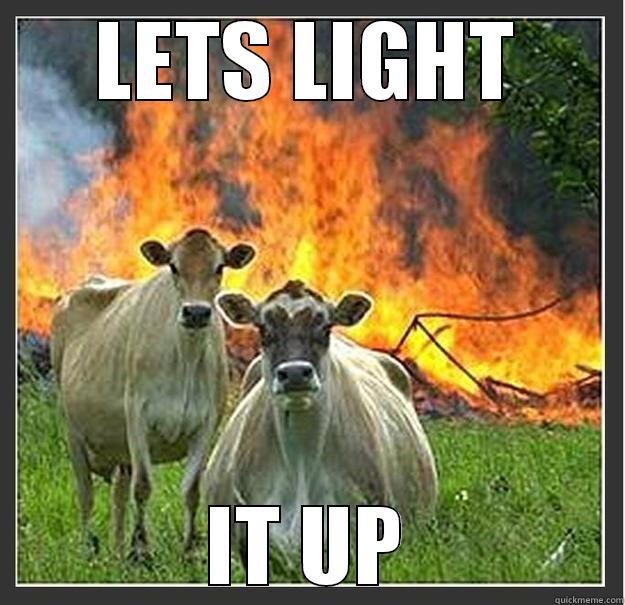 light it up - LETS LIGHT IT UP Evil cows