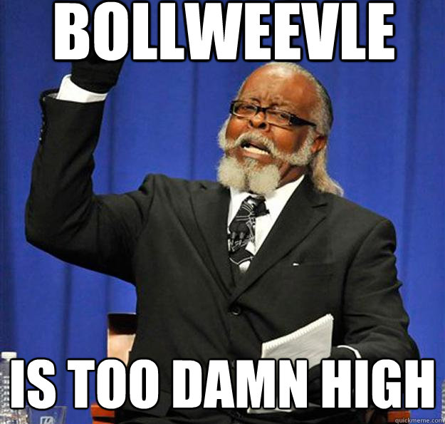 Bollweevle Is too damn high - Bollweevle Is too damn high  Jimmy McMillan