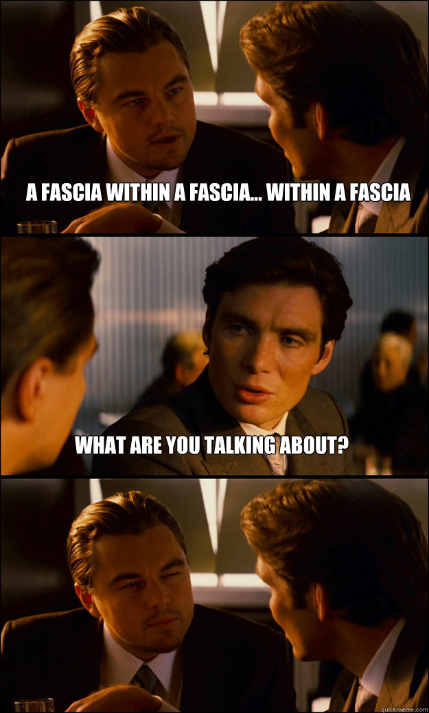 a fascia within a fascia... WITHIN A FASCIA   WHAT are you talking about?   Inception