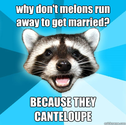 why don't melons run away to get married?  BECAUSE THEY CANTELOUPE  - why don't melons run away to get married?  BECAUSE THEY CANTELOUPE   Lame Pun Coon