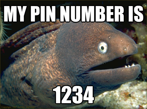 My PIN Number is 1234 - My PIN Number is 1234  Bad Joke Eel