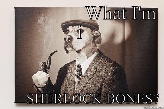 What are u -                  WHAT I'M I         SHERLOCK BONES? Misc