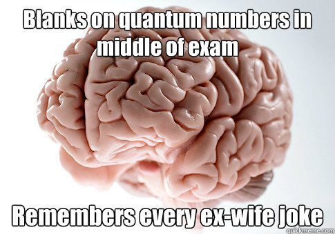 Blanks on quantum numbers in middle of exam Remembers every ex-wife joke   Scumbag Brain