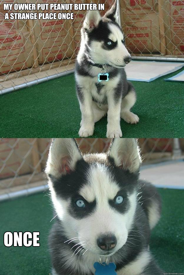 My owner put peanut butter in
 a strange place once once  Insanity puppy