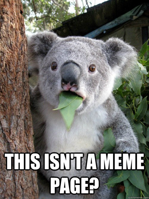 This isn't a meme page?  Surprised Koala