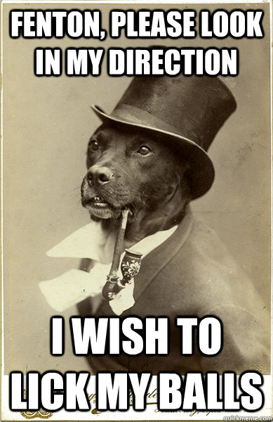 Fenton, Please look in my direction i wish to lick my balls   Old Money Dog
