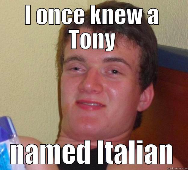 Tony Named Italian  - I ONCE KNEW A TONY NAMED ITALIAN 10 Guy