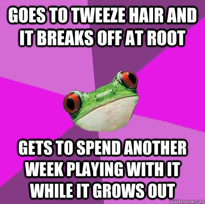 Goes to tweeze hair and it breaks off at root Gets to spend another week playing with it while it grows out  Foul Bachelorette Frog