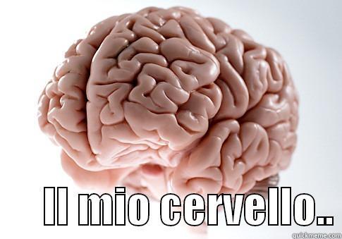        IL MIO CERVELLO.. Scumbag Brain