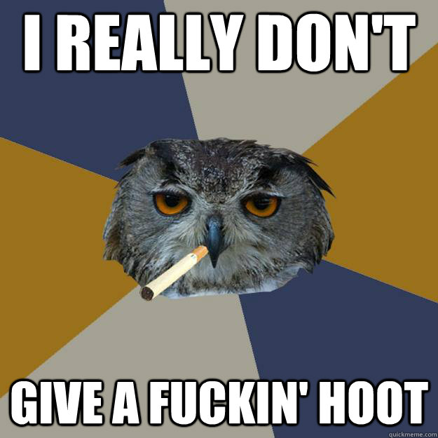 I REALLY DON'T GIVE A FUCKIN' HOOT  Art Student Owl