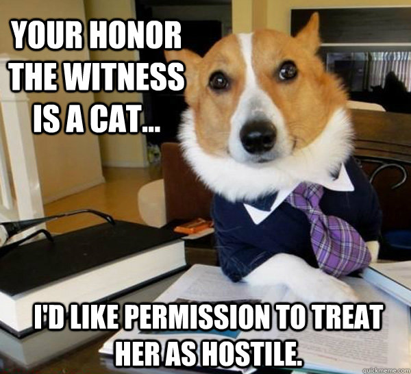 Your Honor the witness is a cat... I'd like permission to treat her as hostile.  Lawyer Dog