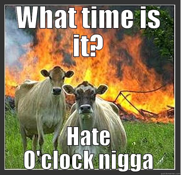 WHAT TIME IS IT? HATE O'CLOCK NIGGA Evil cows