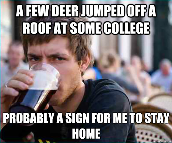 a few deer jumped off a roof at some college probably a sign for me to stay home - a few deer jumped off a roof at some college probably a sign for me to stay home  Lazy College Senior