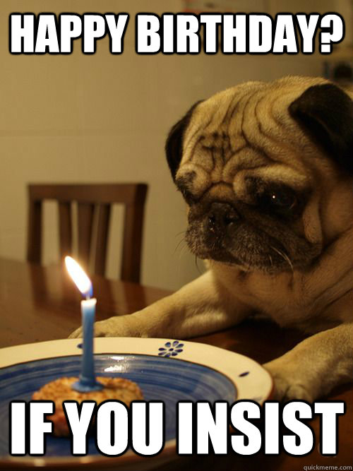 Happy birthday? if you insist - Happy birthday? if you insist  Sad Birthday Pug