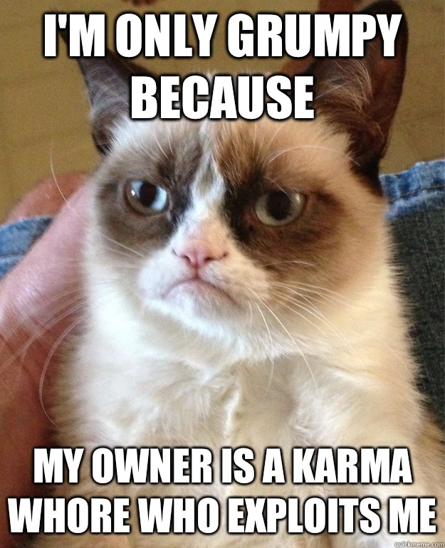 I'm only grumpy because My owner is a karma whore who exploits me  Grumpy Cat