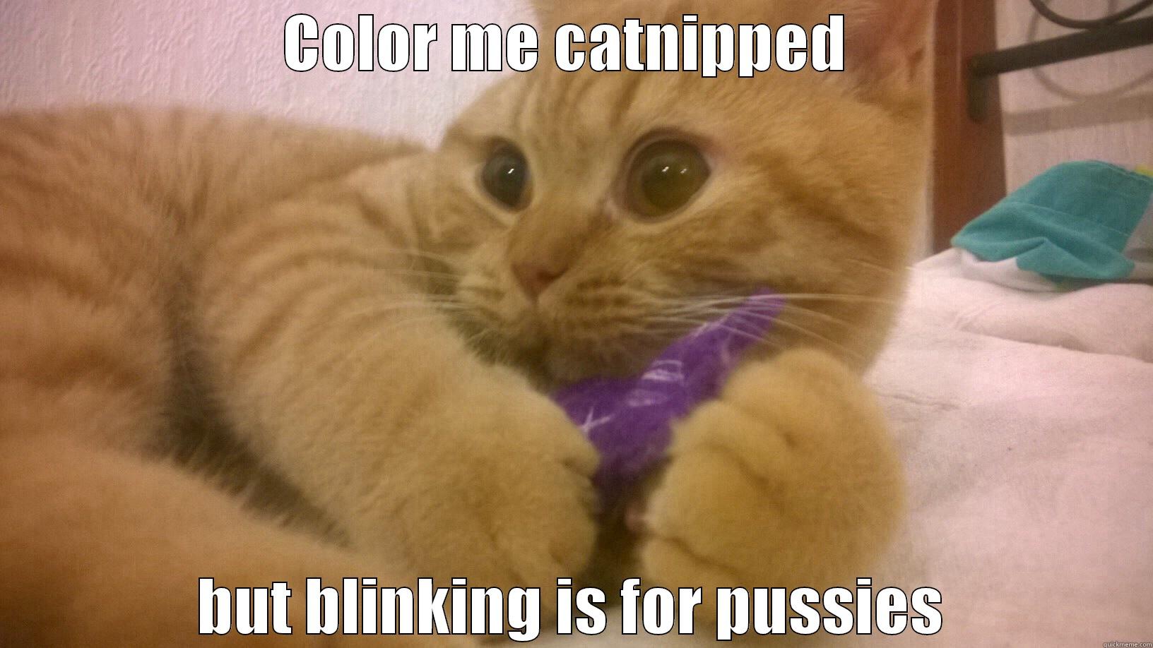 COLOR ME CATNIPPED  BUT BLINKING IS FOR PUSSIES Misc