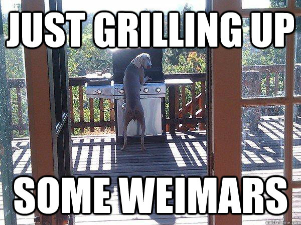 just grilling up some weimars - just grilling up some weimars  Misc