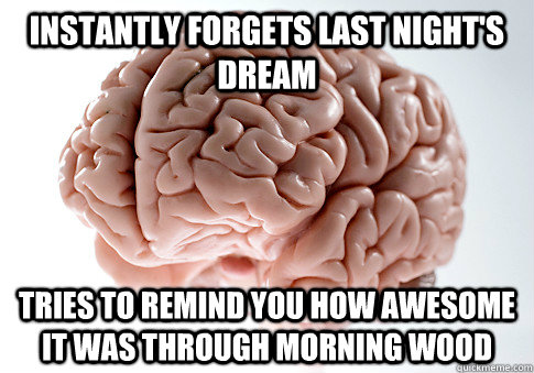 INSTANTLY FORGETS LAST NIGHT'S DREAM TRIES TO REMIND YOU HOW AWESOME IT WAS THROUGH MORNING WOOD   Scumbag Brain