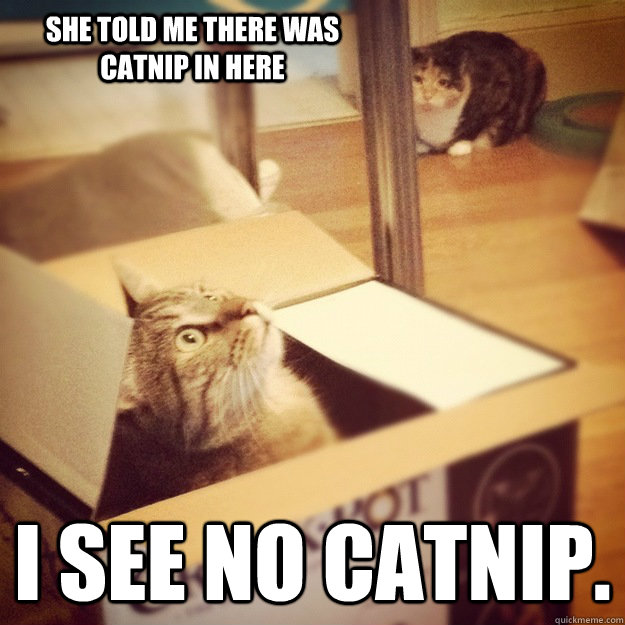 She told me there was catnip in here I see no catnip.  Cats wife