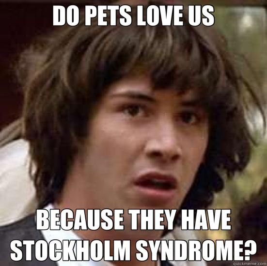 DO PETS LOVE US BECAUSE THEY HAVE STOCKHOLM SYNDROME?  conspiracy keanu