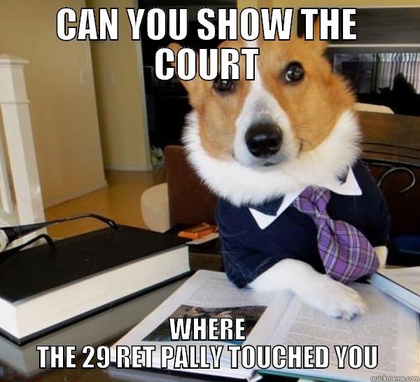 CAN YOU SHOW THE COURT WHERE THE 29 RET PALLY TOUCHED YOU Lawyer Dog