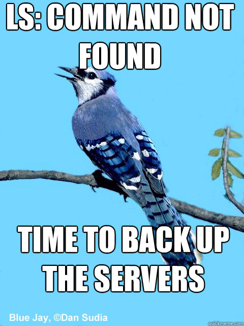 ls: command not found Time to back up the servers  Blue Team Bird