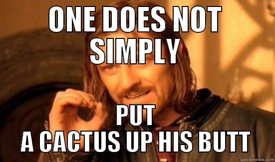 ONE DOES NOT SIMPLY PUT A  - ONE DOES NOT SIMPLY PUT A CACTUS UP HIS BUTT Boromir