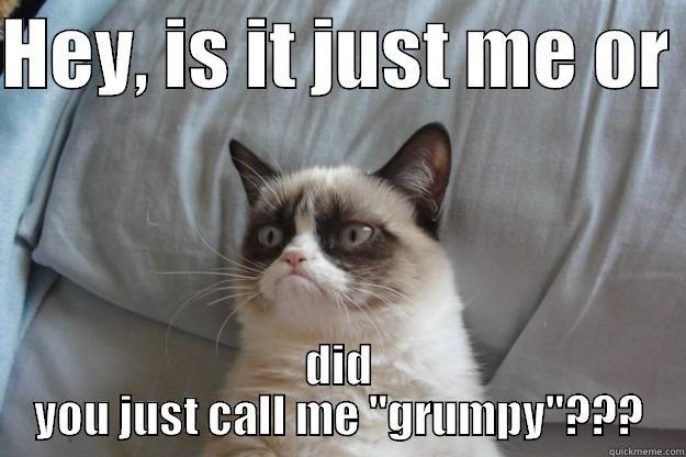 grumpy me?????? - HEY, IS IT JUST ME OR  DID YOU JUST CALL ME 