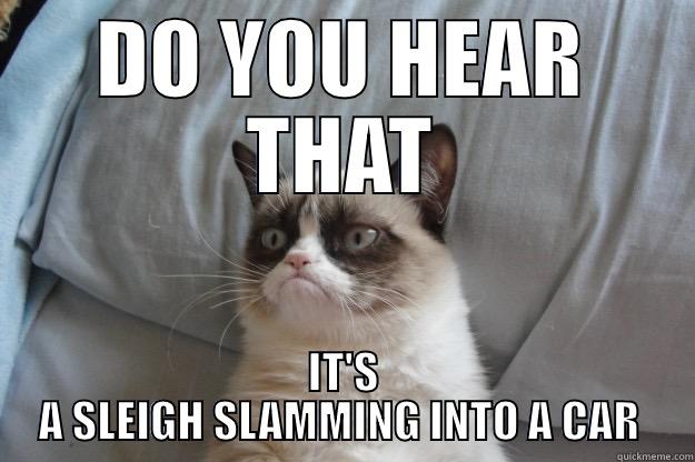 lol :D - DO YOU HEAR THAT IT'S A SLEIGH SLAMMING INTO A CAR  Grumpy Cat