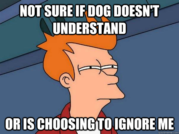 not sure if dog doesn't understand or is choosing to ignore me  Futurama Fry